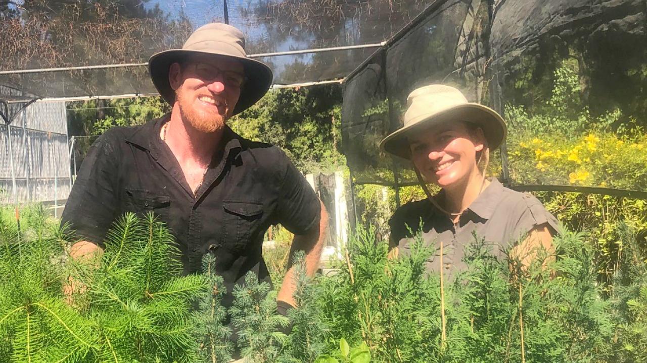 Taylor Lewis, nursery manager, and Abbey Hart, special projects nursery manager with dozens of saplings they will grow and eventually transplant back to Capitol Park's historic arboretum. Image of Taylor Lewis, nursery manager and Abbey Hart, special projects manager with the trees they are working to restore to Capitol Park in Sacramento.