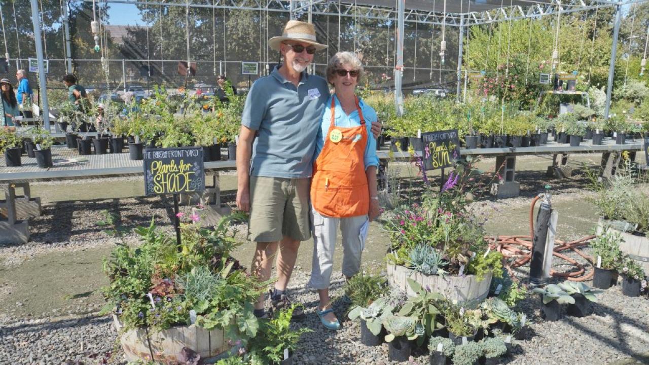 The Davisons at a plant sale