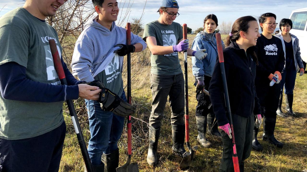 The Arboretum and Public Garden Learning by Leading Waterway Stewardship team harvested tule and transplanted it into the West end of the Arboretum. group of interns from waterway stewardship harvesting tule
