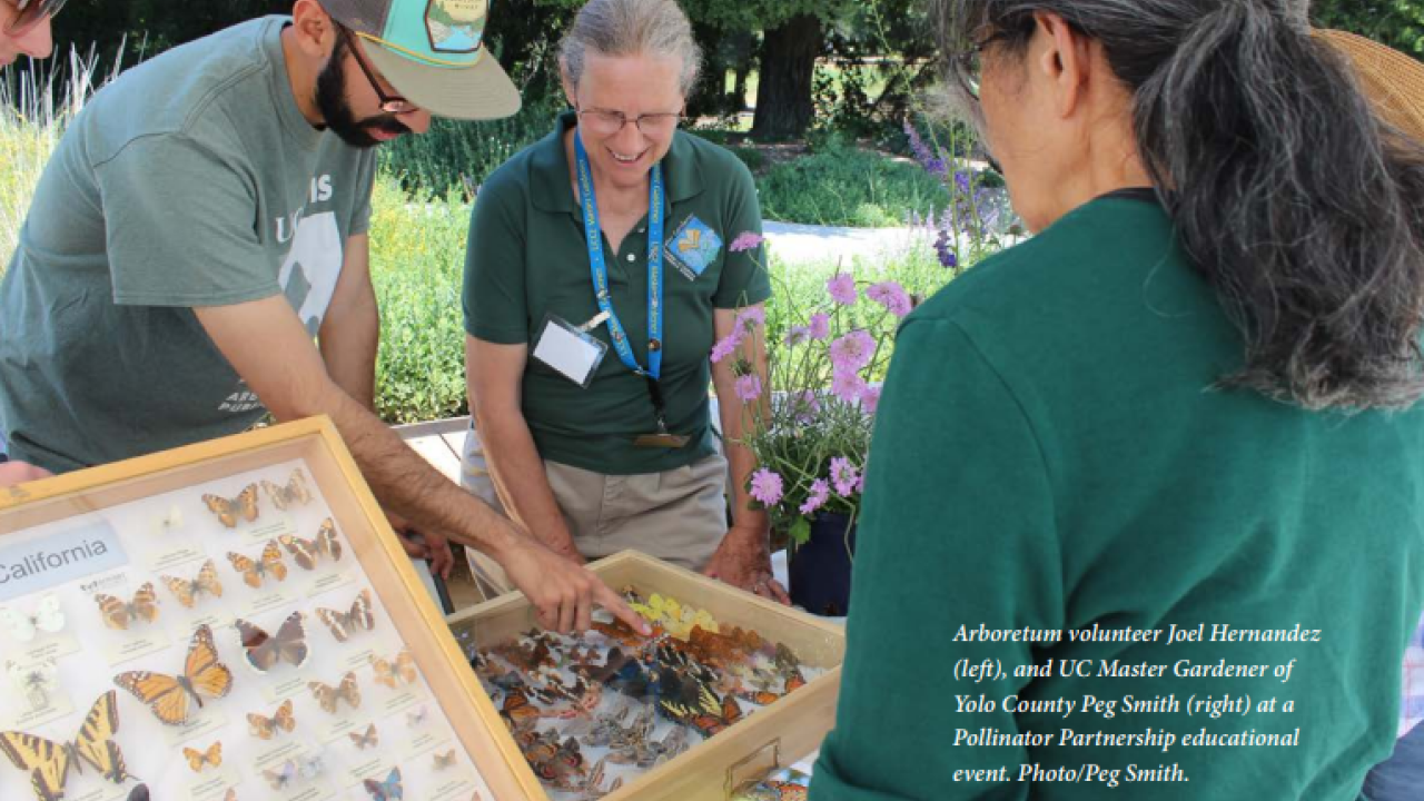 pollinator partnership event