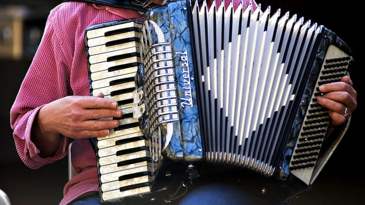 Folk Music Jam Session