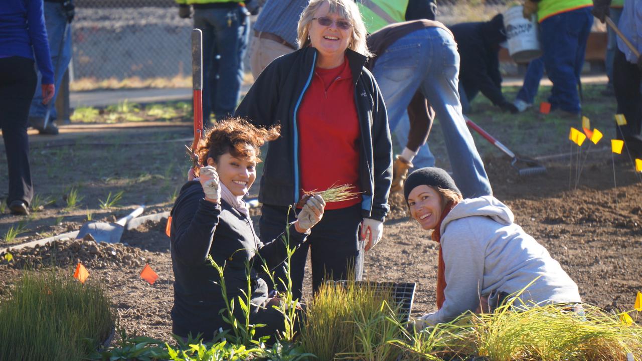 photos of volunteers