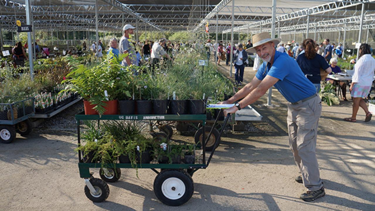 Spring Plant Sale