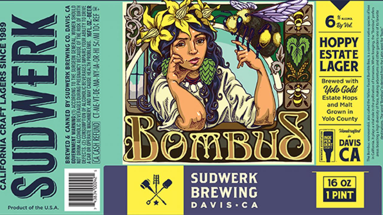 Image of Bombus beer label creating by Sudwerk in honor of the yellow-faced bumble bee and the UC Davis Arboretum and Public Garden.