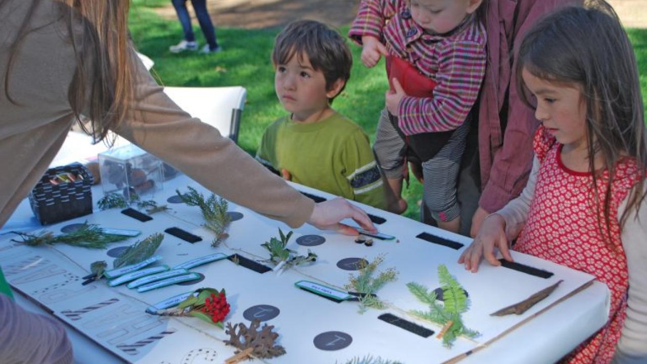 UC Davis Biodiversity Museum Day