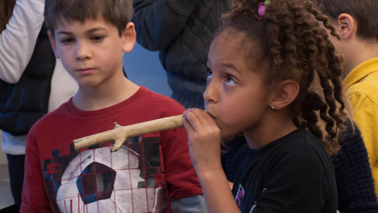 Native Californian Elderberry Flute-making Workshop