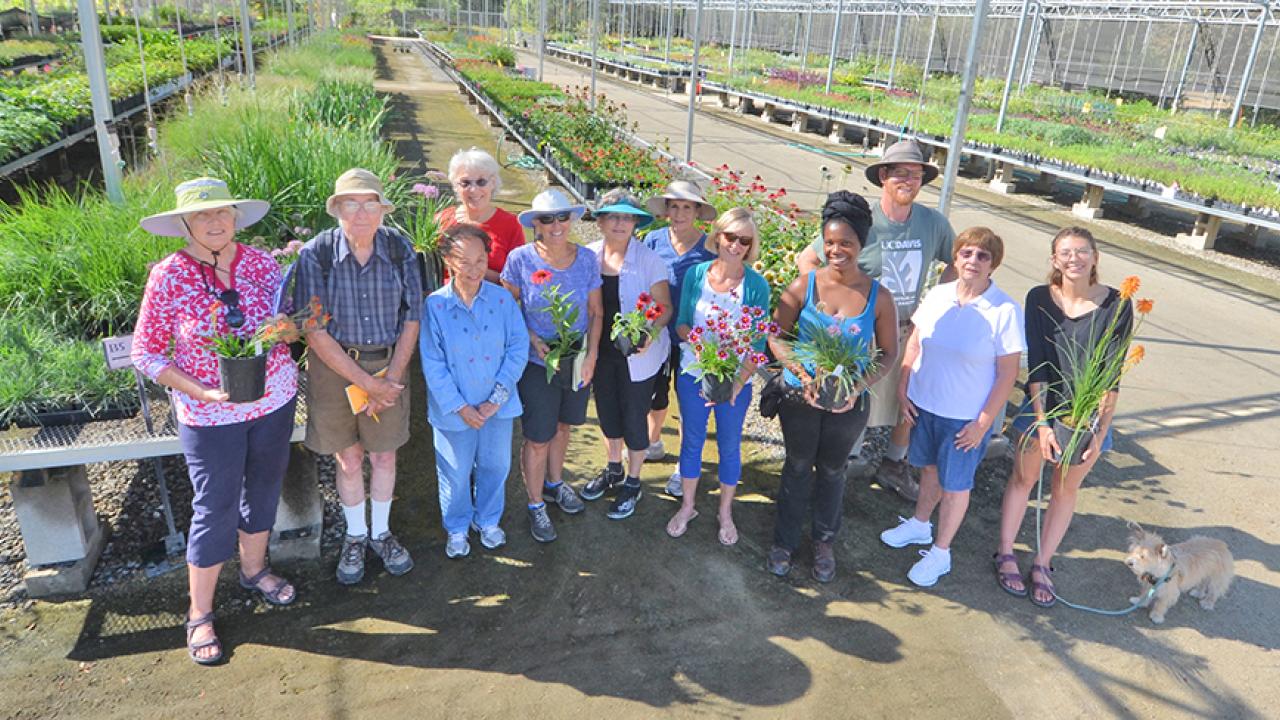 Image of volunteers, members, staff and students in the UC Davis Arboretum Teaching Nursery.