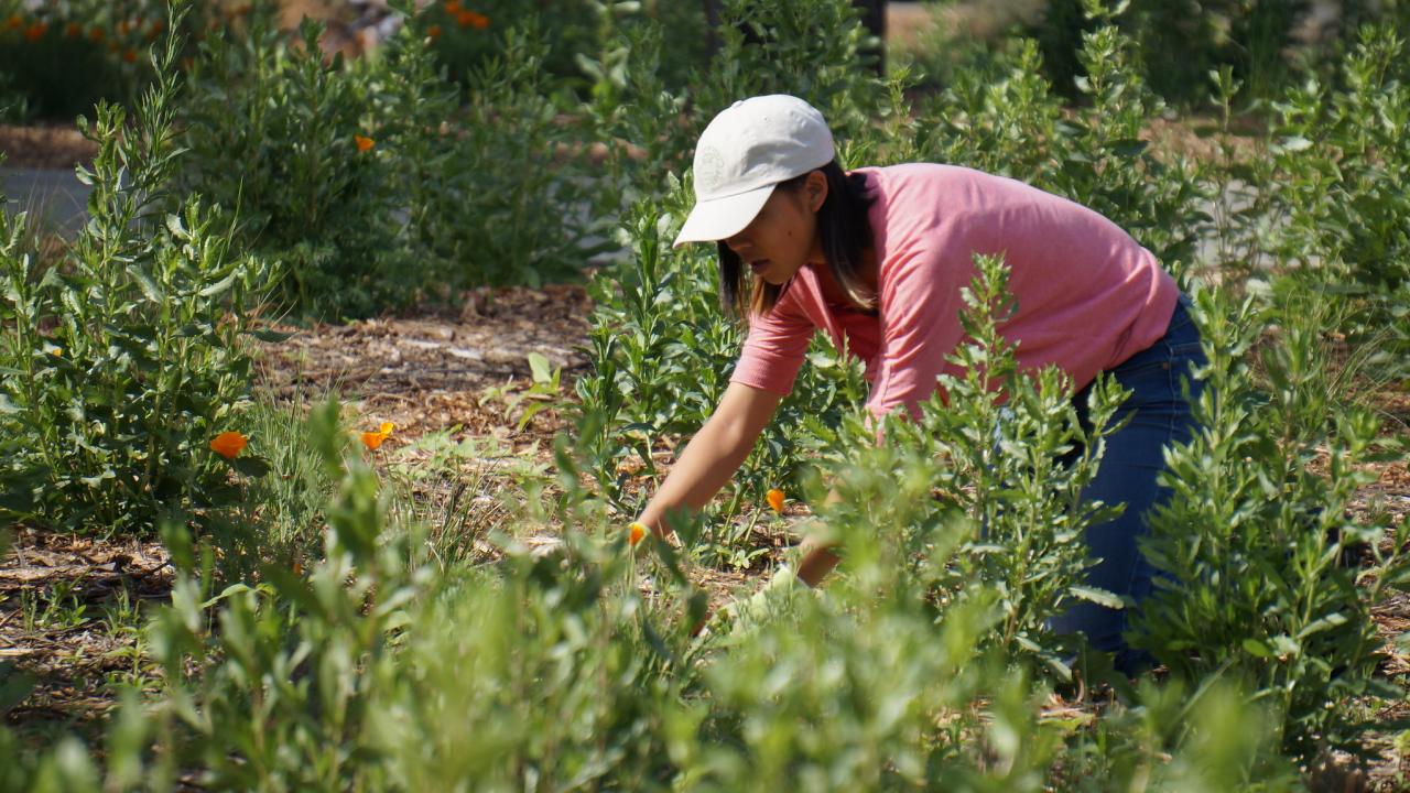 Student horticulturist