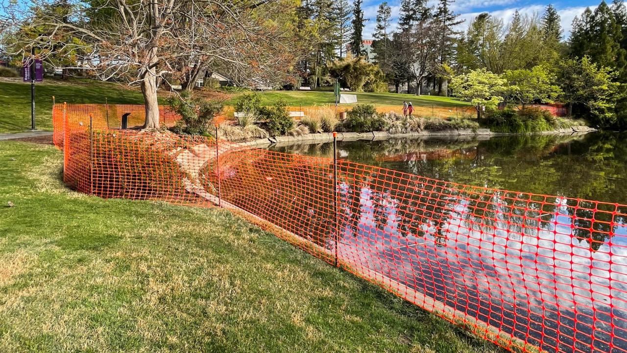 Image of orange safety fencing following the perimeter of a lake on one side and grass on the other.