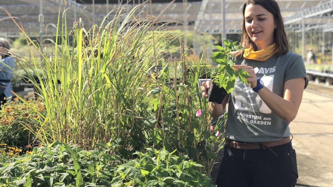 Assistant Nursery Manager Abbey Hart inspects herbs she has grown for upcoming plant sales.