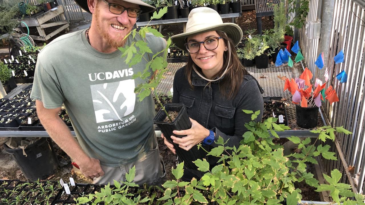 Image of Taylor Lewis and Abby Hart at the UC Davis Arboretum's Lath House where they propagate limited numbers of trees.