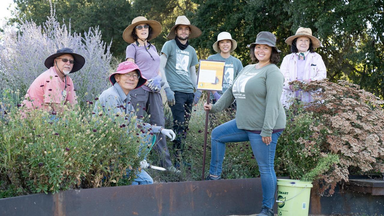 Image of volunteers in the UC Davis Arboretum and Public Garden