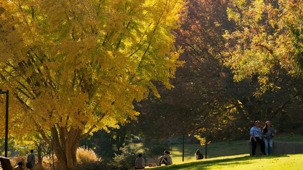 Image of trees with leaves of varying colors. A few people are seated on the grass underneath the trees.