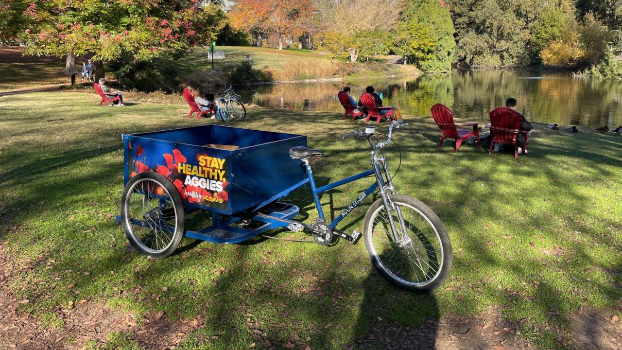 Chair Share - Lake Spafford Aboretum