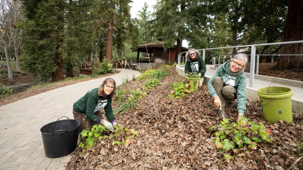 UC Davis Arboretum and Public Garden volunteers working in front of Wyatt Deck.