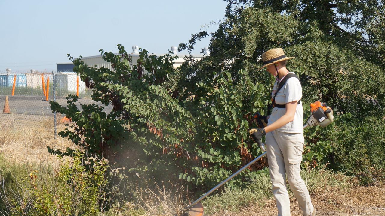 Person using a weed wacker