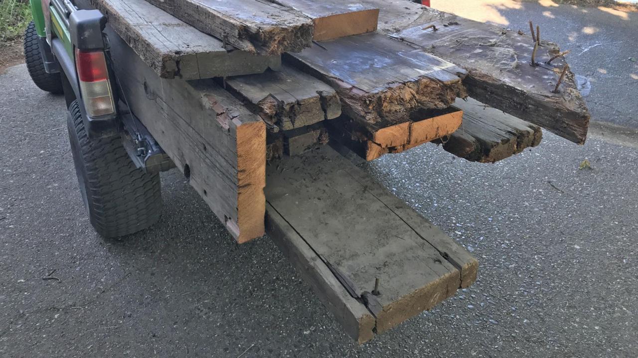 Image of Wyatt Deck redwood planks being taken for use by pond turtles.