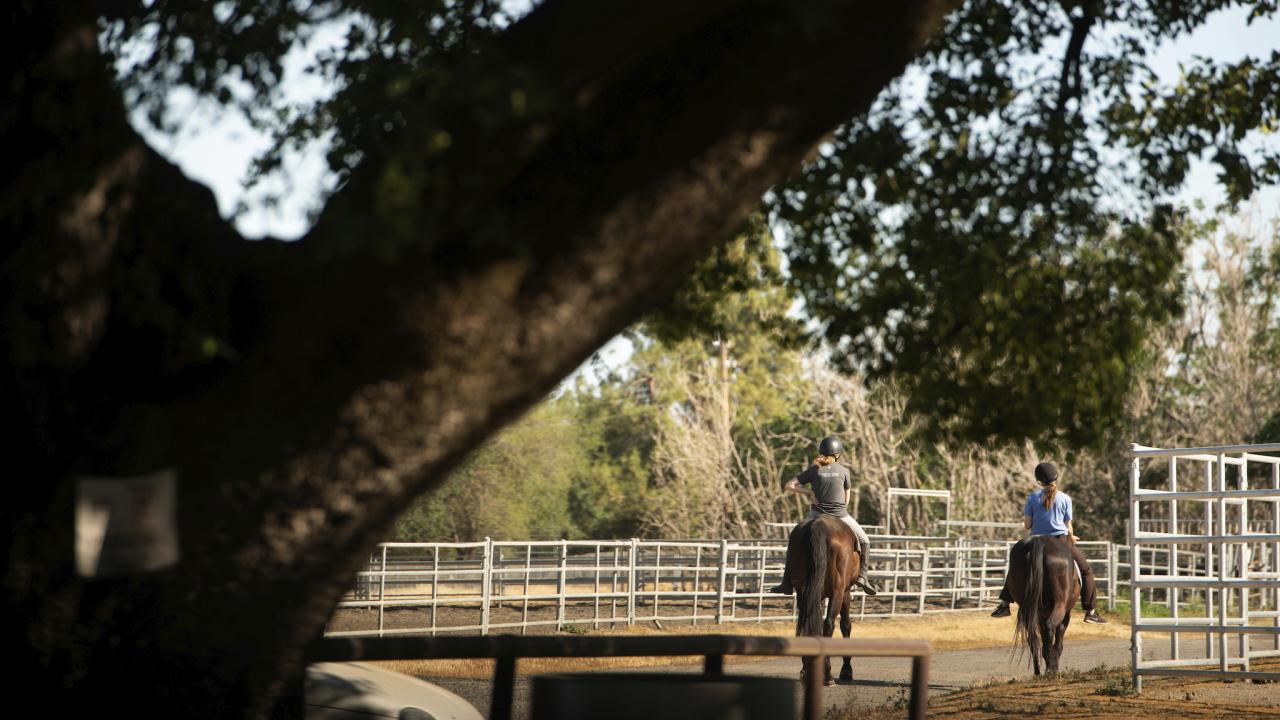 Two people ride horses at the UC Davis Equestrian center