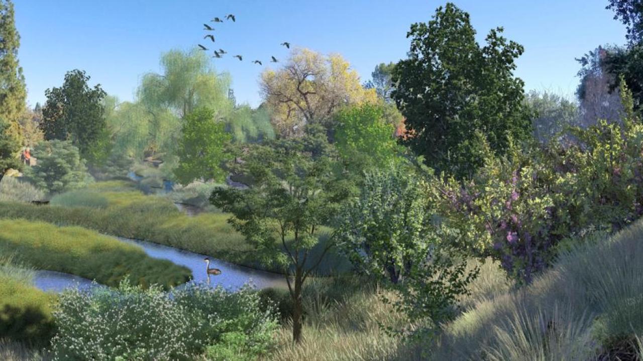 Rendering showing the floodplains and benches slated to be a part of the Arboretum Waterway Flood Protection and Habitat Enhancement Project.