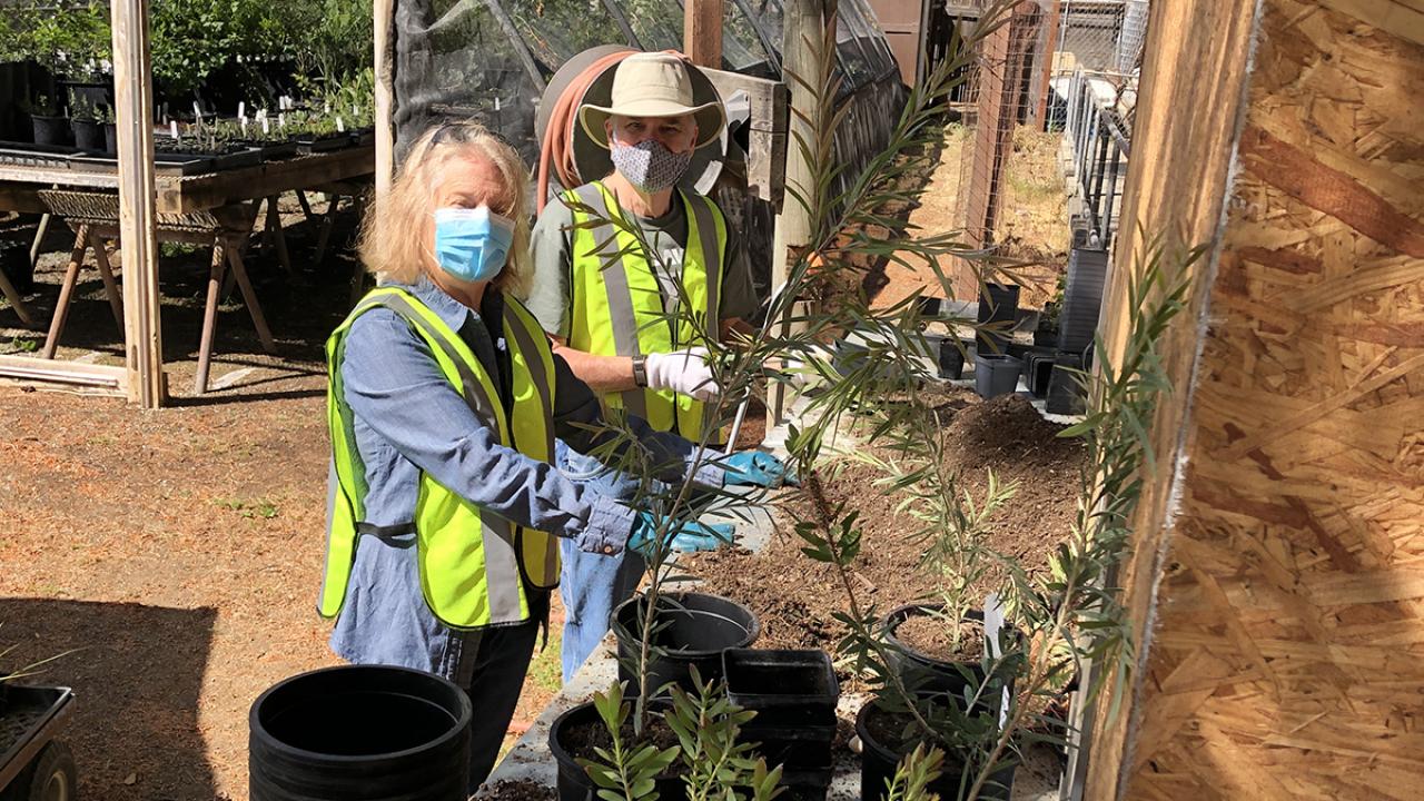 Volunteers in PPE at the Arboretum and Public Garden