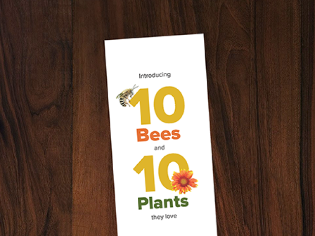 cover image of the 10 bees and 10 plants they love pamphlet