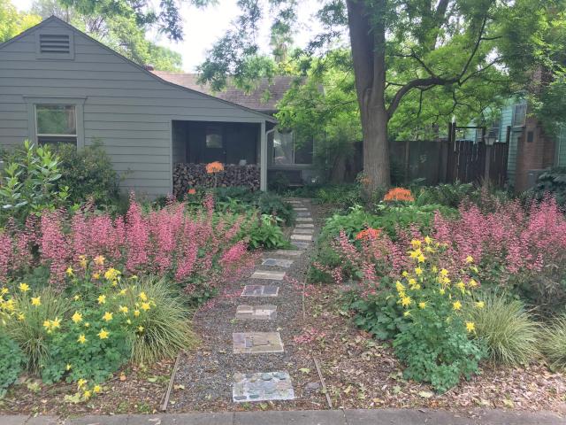 Image of Stacey Parker's lawn-free front yard.