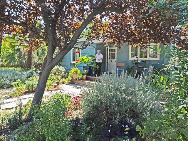 Image of Ellen Zagory's lawn-free front yard