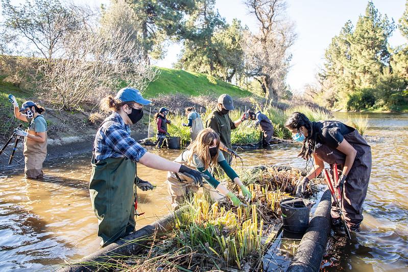 Image of Waterway Steward students restoring plants in the waterway's floating islands. 