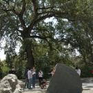 Image of geology students studying the rocks in the UC Davis California Rock Garden.