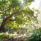 Marina madrone