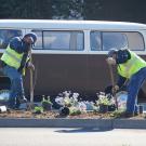 workers planting plants on the median