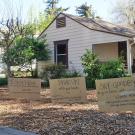 Image of Stacey Parker's lawn during the sheet mulching / lawn removal process.