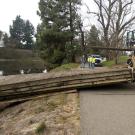 Arboretum waterway boat dock