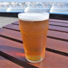 Image of a pint of beer on a picnic table.