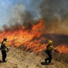 Firefighters participating in wildland fire training