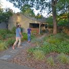 Image of Stacey Parker's front yard.