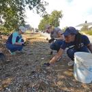 Image of Learning by Leading students restoring a landscape along Hopkins Road.