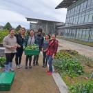 Image of students preparing to donate their Good Life Garden harvest to The Pantry.