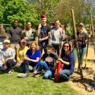 Students, faculty and staff participate in a tree planting event along the east side of campus as part of the UC-wide Cool Campus Challenge and to support our continued status in Tree Campus USA.