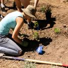 Woman planting a plant into the soil. 