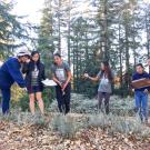 Image of Plant Records and Mapping co-coordinator Elise Chu teaching new Learning by Leading interns the skills needed to accurately map plants.