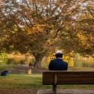 Person on a bench in the Arboretum.