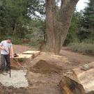 Image of John Gainey constructing his design for the UC Davis Animal Science GATEway Garden.