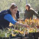 A picture of someone at the Plant Sales.