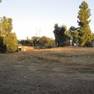 Davis Commons and the Australian Collection of the Arboretum