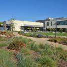 West side of the UC Davis Arboretum