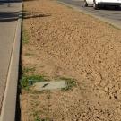 Image of La Rue Road median with weeds and no flowers