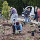 A picture of the volunteers. 