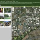 Image of the online story map created by Ella Groff, Learning by Leading Museum Education co-coordinator