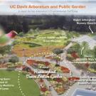 Graphic of hummingbird demonstration garden